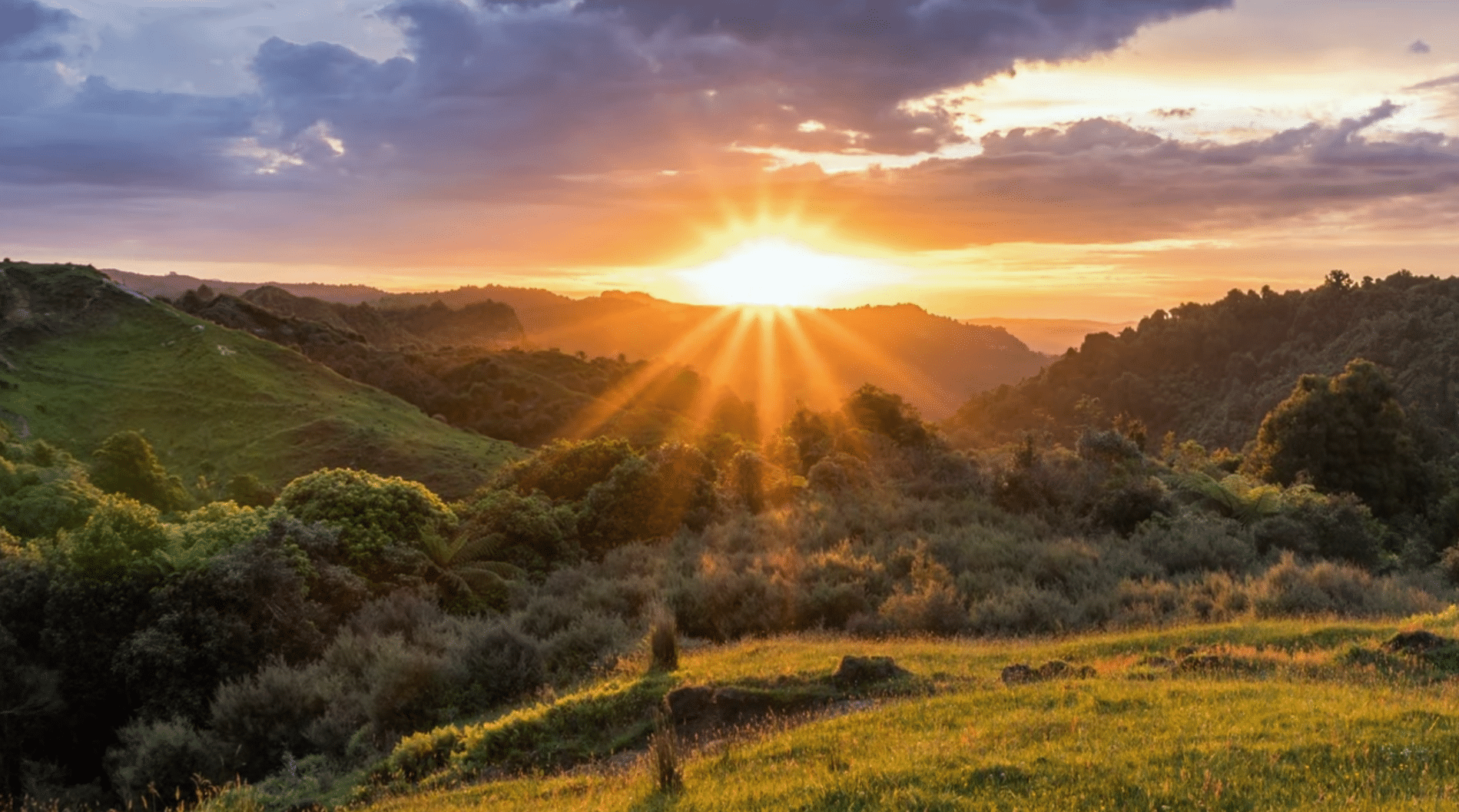 The sun rises over rolling green hills and dense trees, casting warm light across a grassy landscape under a partly cloudy sky—a peaceful scene reminiscent of the hope found in drug addiction treatment.