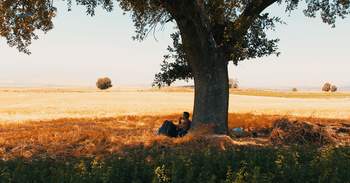 Substance Abuse Disorders and Recovery Options at Our Addiction Treatment Center, Ogden Utah